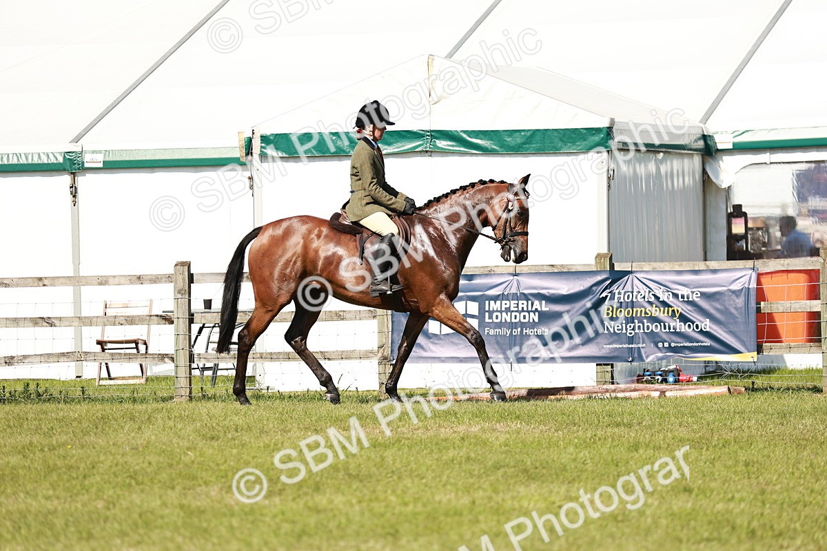 SBM_18872 - Class 114 - RIHS & SEIB Open Working Show Horse