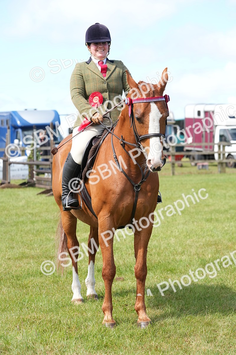 SBM_12969 - Class 99 - RIHS SEIB Working Show Horse