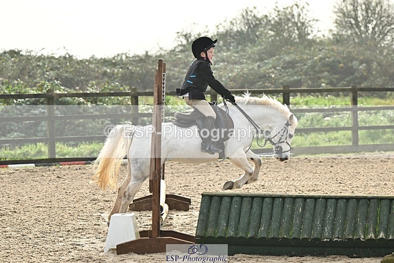 241110-103437-00351 - 40cm Showjumping