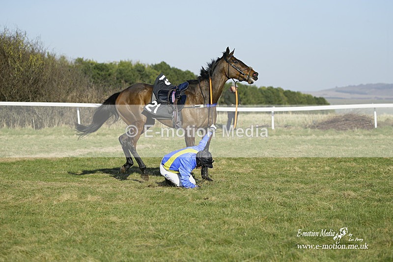 PtP 270222 378 - South & West Wilts Point-to-Point Larkhill 27/02/22