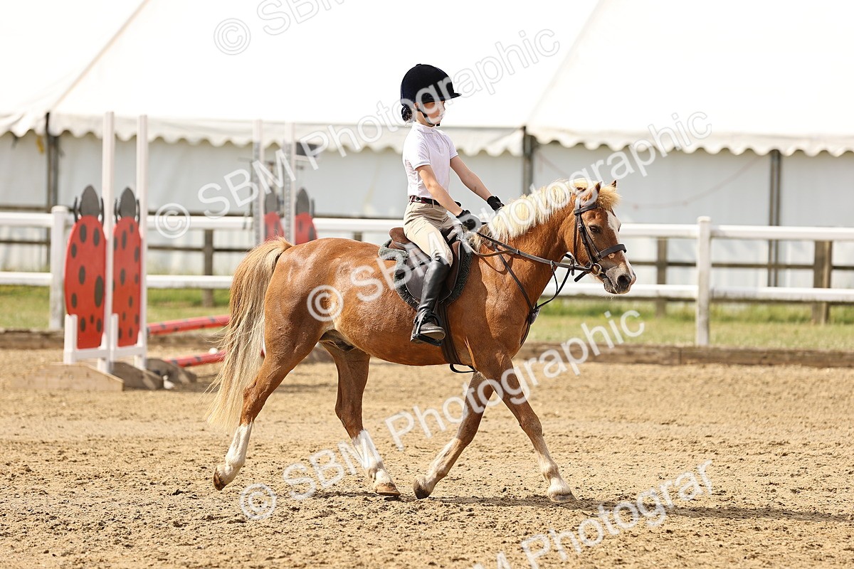 SBM_001474 - Class 1 - 40cm