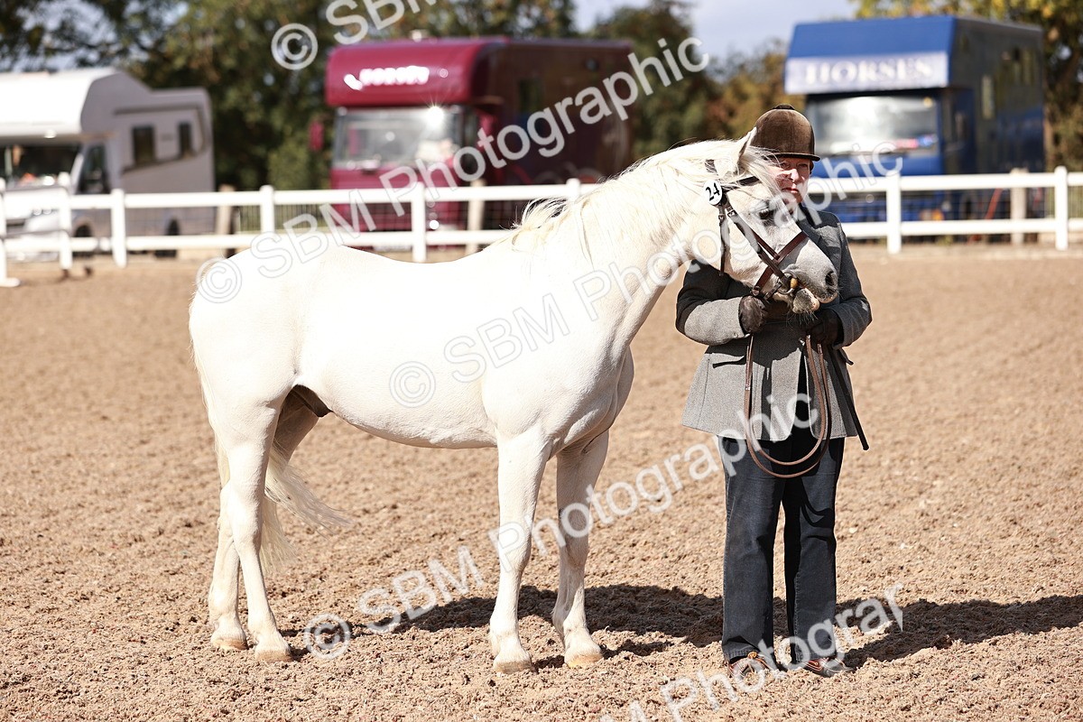 SBM_22815 - Class 705 - IH Combination 65+