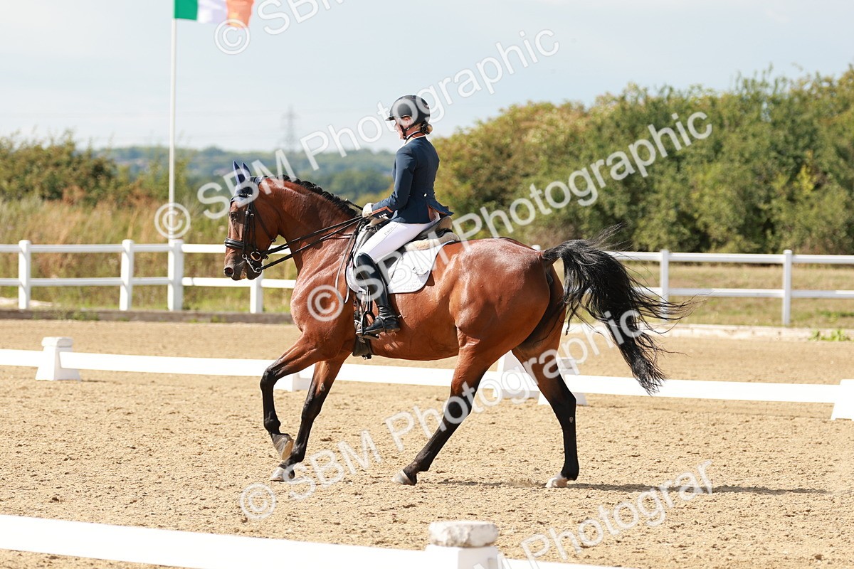 SBM_002520 - Class 11 - Medium 6