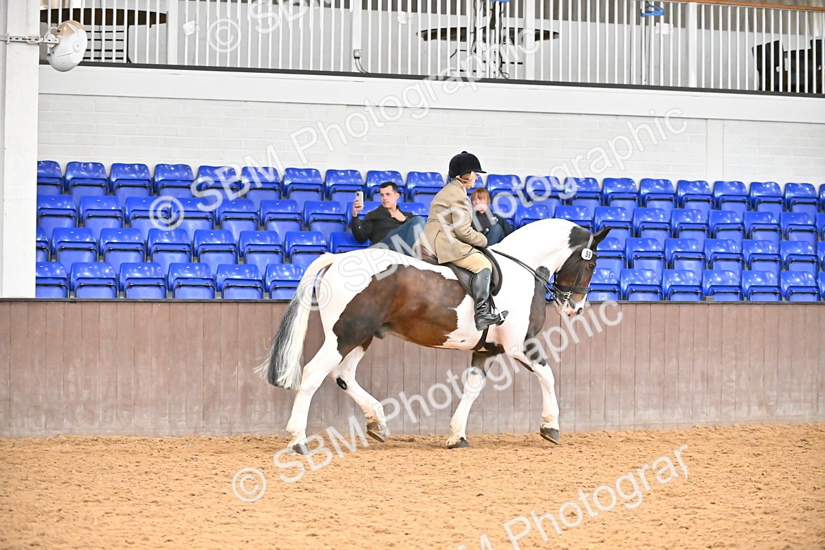 SBM_002680 - Class 28,29 - Ridden Irish & Coloured