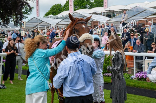 170524-Race 4-Giavellotto-8785 - Race 4 3.45pm Boodles Yorkshire Cup Stakes