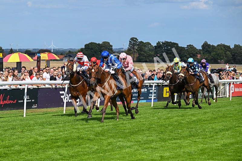 300826-Race 4-Financer-0529 - Race 4 3.20pm Ward Homes Yorkshire Handicap