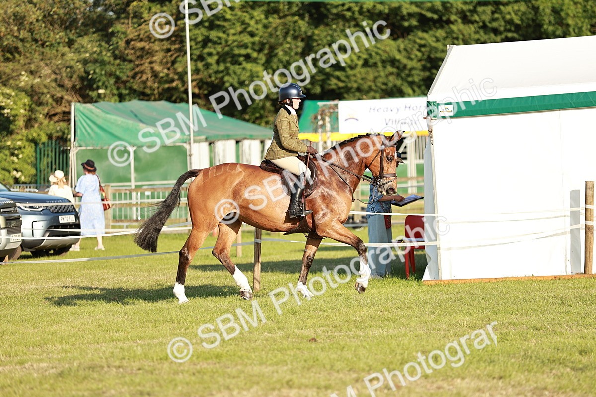 SBM_20441 - Class 117-119 - Sport Horse Working Hunter