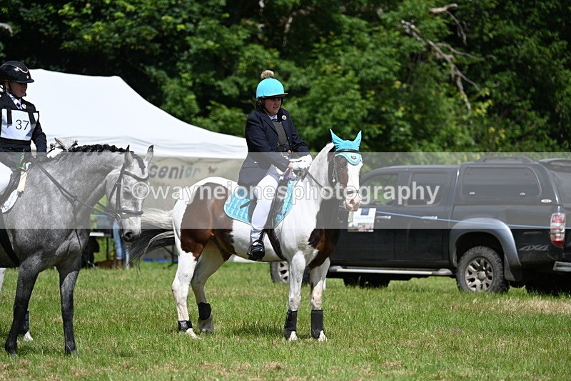 WJ7_1870 - Class 9 Pony Club Pony