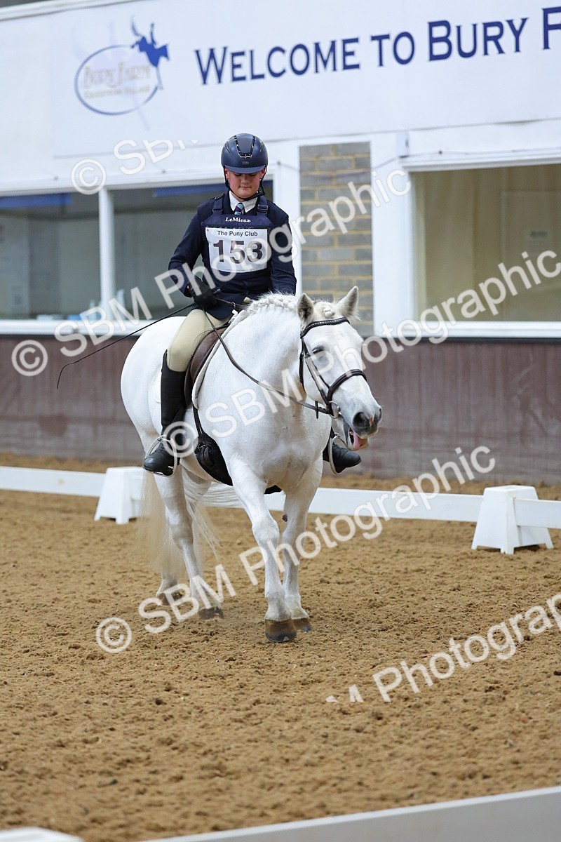SBM_003868 - Novice