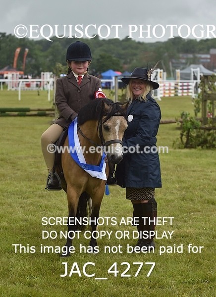 JAC_4277 - WORKING HUNTER CHAMPIONSHIP