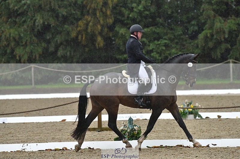 231018-153526-00817 - 011-BIG.QUERLYBET.K.Z-Paul.Whitehead-DR