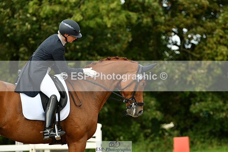 230912A-163344-01803 - Cls 18 FEI PSG