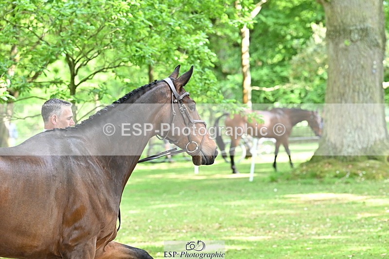 250521A-151553-00385 - B-355-Andrew.James-PRIMITIVE.PROPOSITION