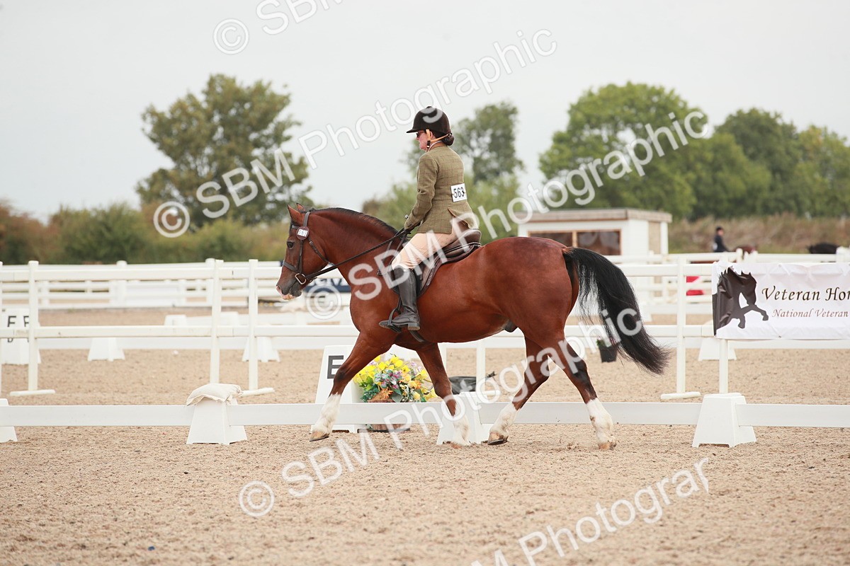 SBM_00812 - Class 30 - Intro 1