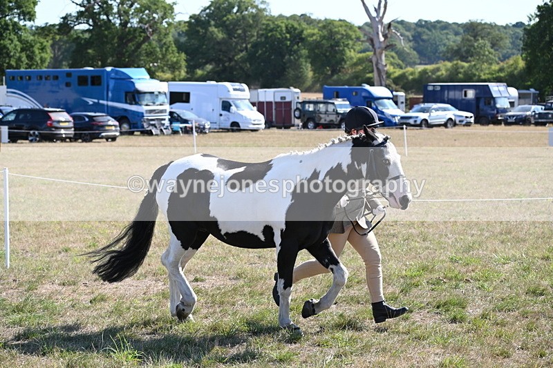 WJ6_7509 - Class 34 Judges Choice