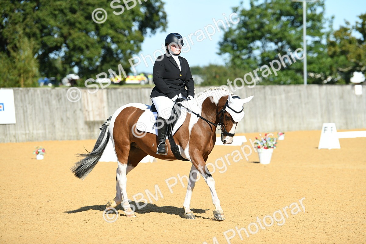 SBM_17933 - D4 - Small Tour Championship - Intro B