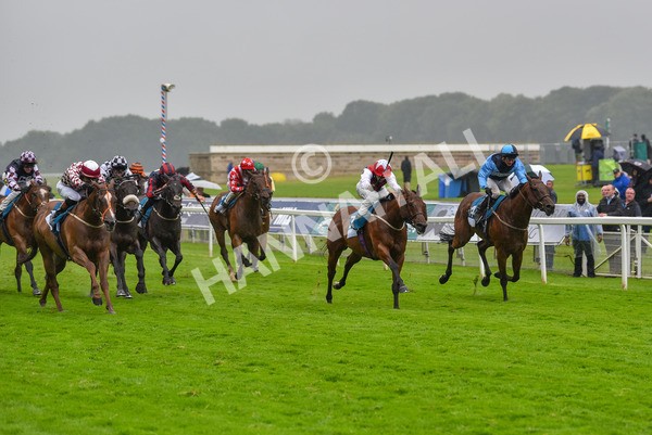 140723-Race 6-Copper Knight-8353 - Race 6 4.55pm Irish Thoroughbred Marketing Handicap