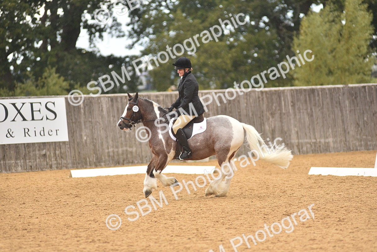 SBM_11278 - D15 - Small Tour Championship Novice 1