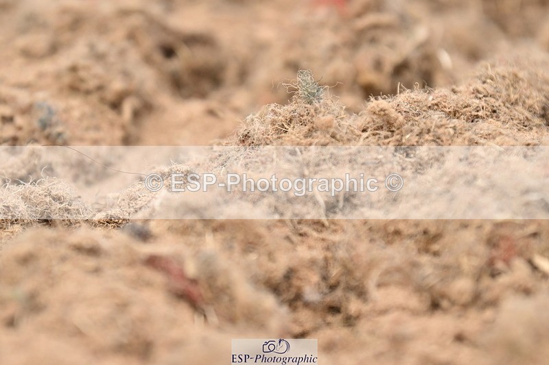 240622A-130550-11568 - Cls 4A Prelim 18