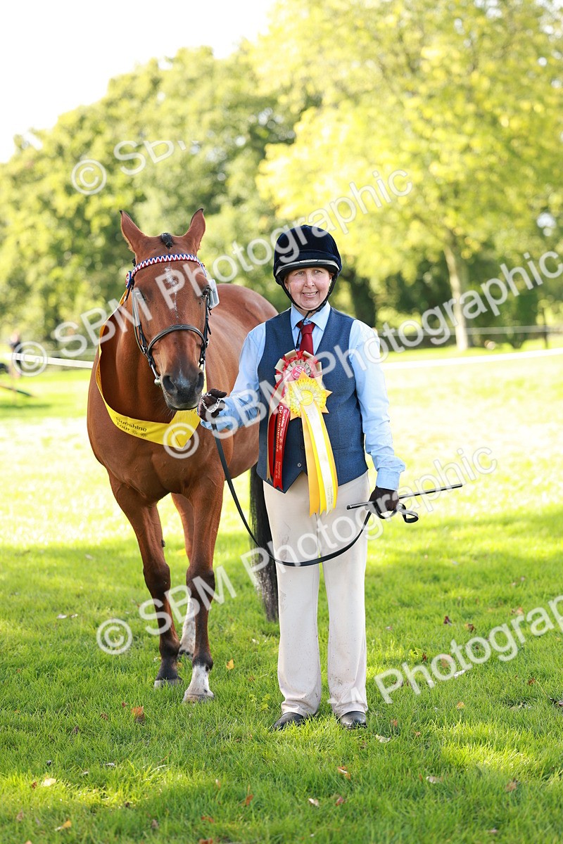 SBM_37625 - Fun Showing Supreme Championship