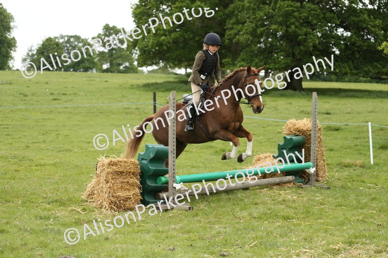 20250517-1059 - Class 21 - Novice Working Hunter