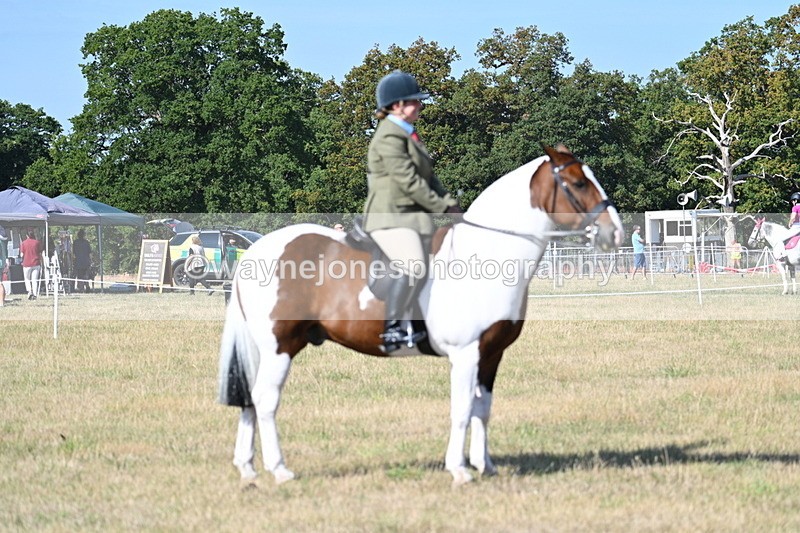 WJ7_2949 - Class 8 Ridden Tack & Turnout
