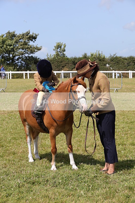 1X9A5294 - Class 36: NPS M&M Lead Rein