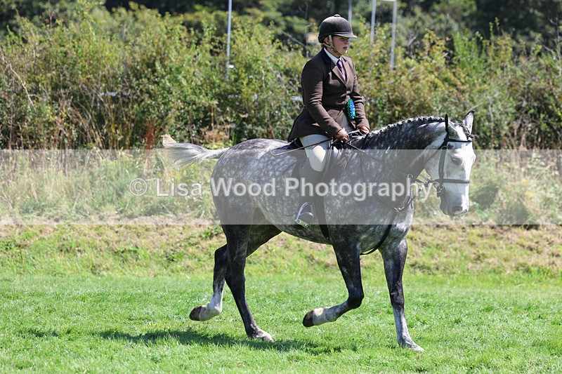 3E7A9177 - Working Hunter Championship