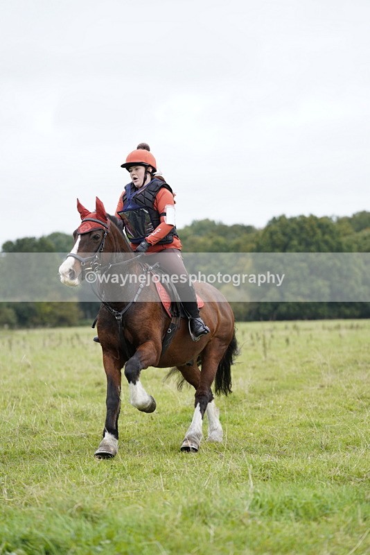 _DSC6563 - Time at Photographer 10:13 to 10:42