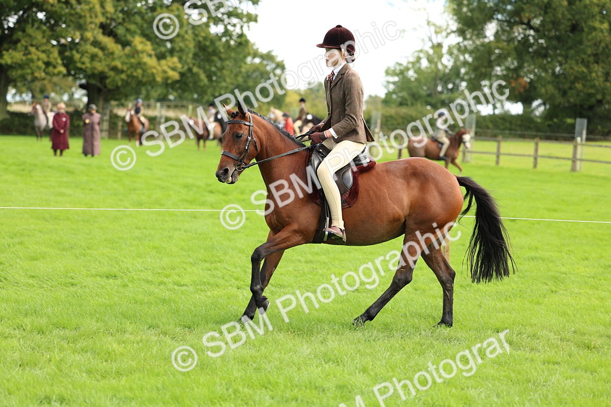 SBM_45404 - S33 - Working Hunter Pony