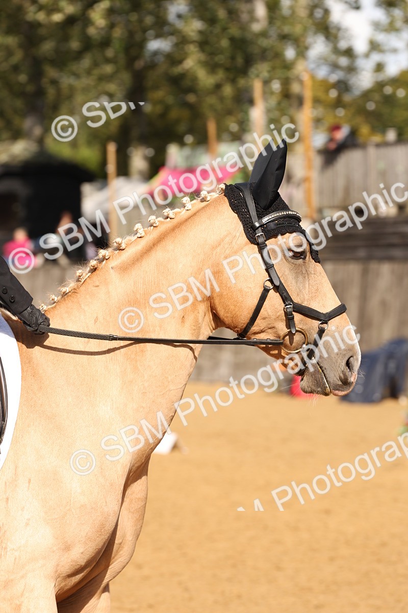 SBM_47409 - D12 - Small Tour Championship prelim 2