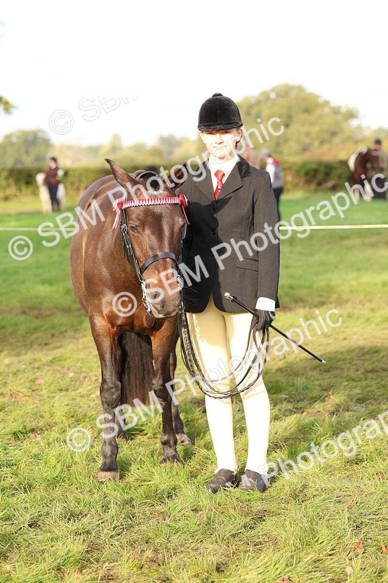 SBM_54854 - S39 - Starters In Hand Showing