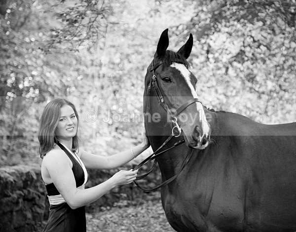 Exracehorse_plean3 - Equine Gallery Portfolio
