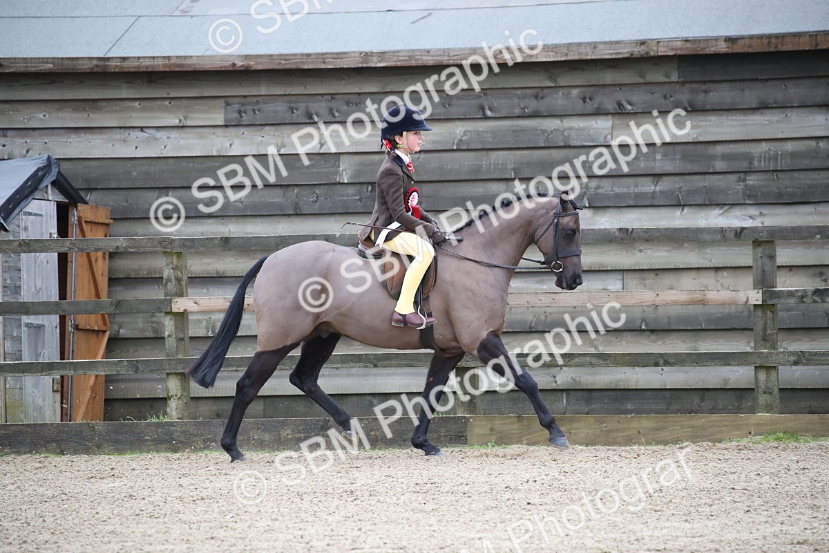 SBM_004629 - Class 5-9 - NPS In Hand-Show Hunter-Intermediate Ridden Inc Ridden Championship