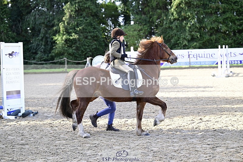 260411A-091053-00007 - 40cm Lead Rein