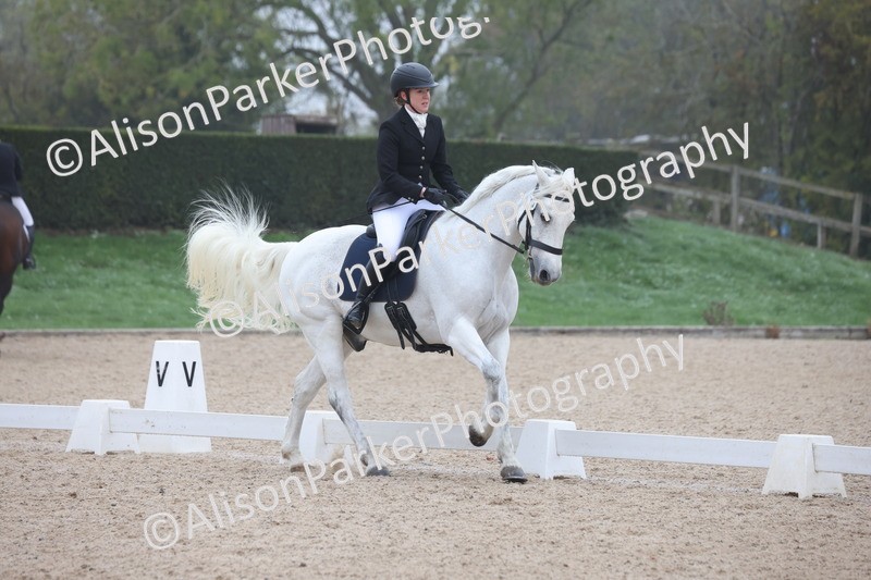 20251012-0402 - Class 3 - Novice 5