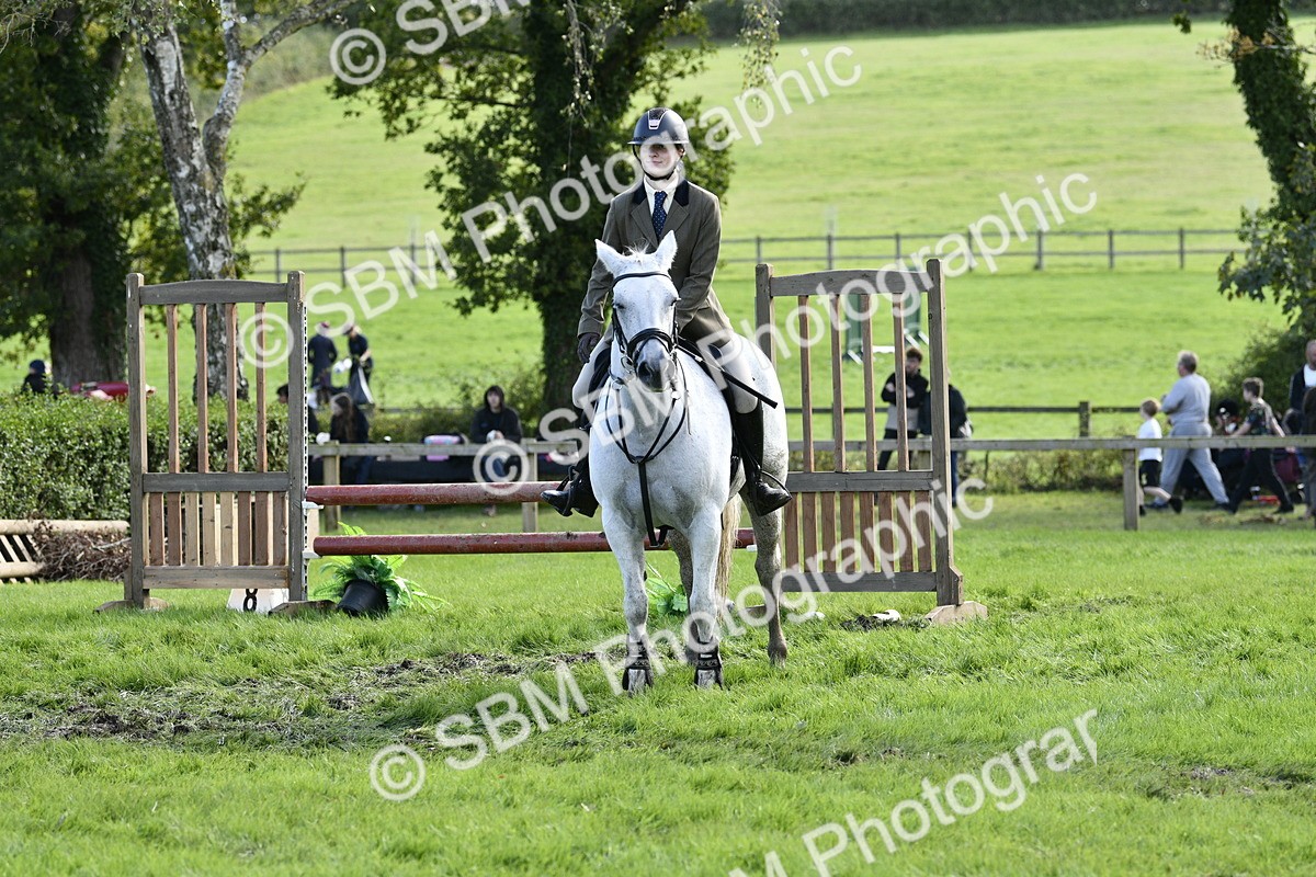 SBM_45748 - S33 - Working Hunter Pony