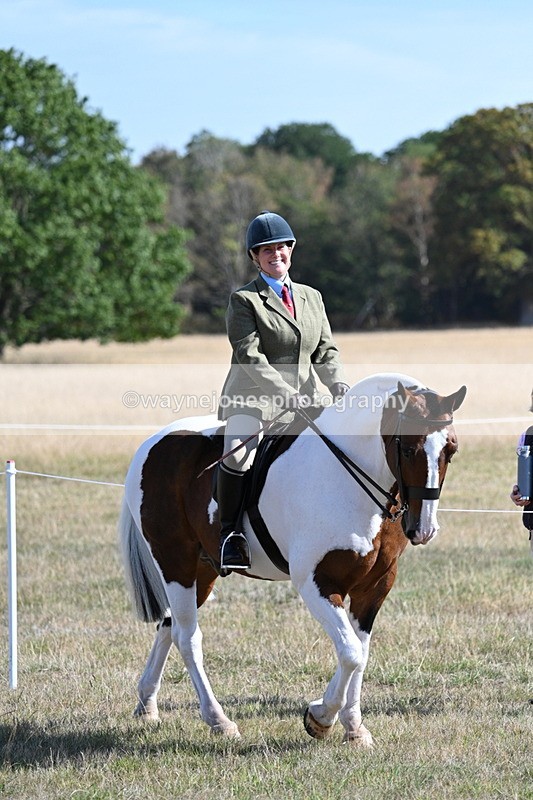 WJ7_3074 - Class 8 Ridden Tack & Turnout