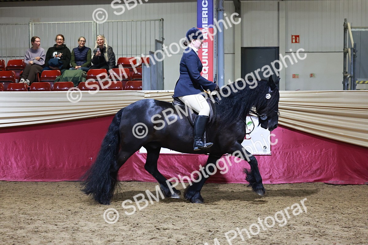 SBM_21359 - Class T - Working Veteran Champs