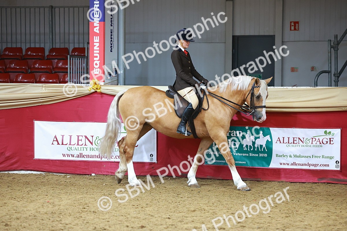 SBM_09359 - Class 102 - HOYS Veteran Qualifier - Ridden Veteran