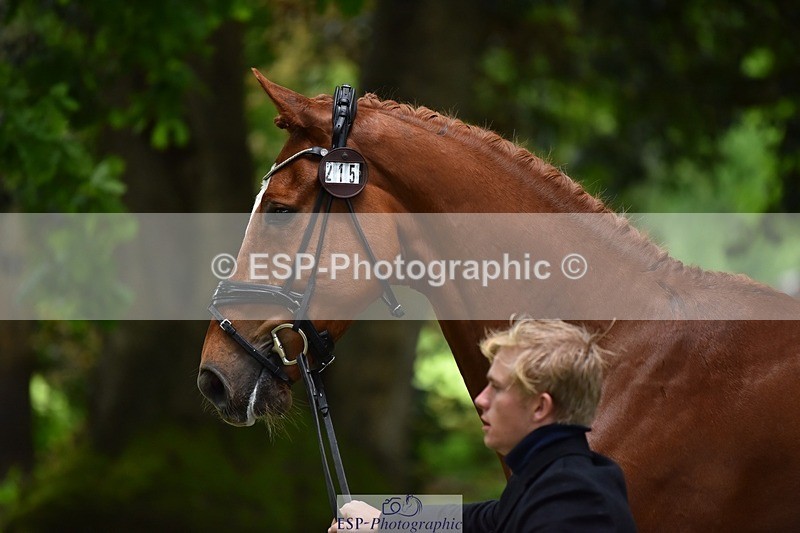 240522-163826-01055 - 215-RAMIRO_WANNABE-Finn_Healy