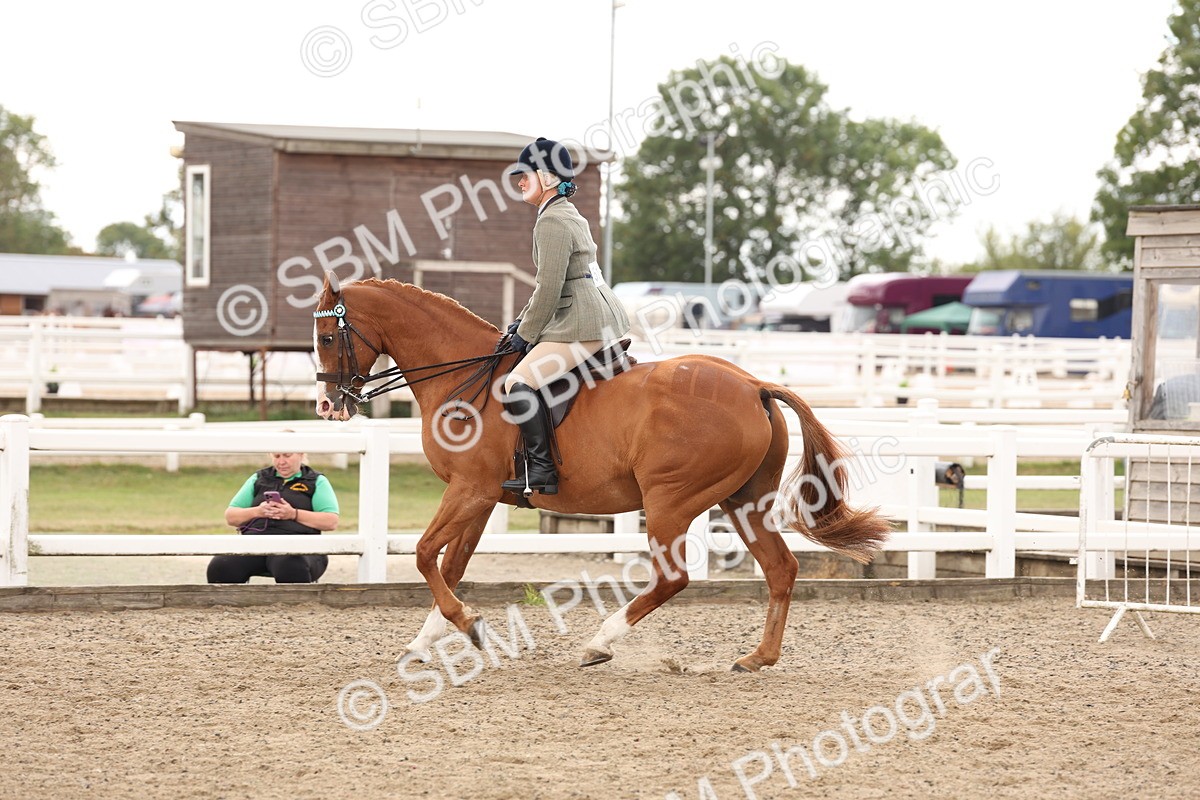 SBM_02921 - Class 53 - Ridden Competition Horse/Pony