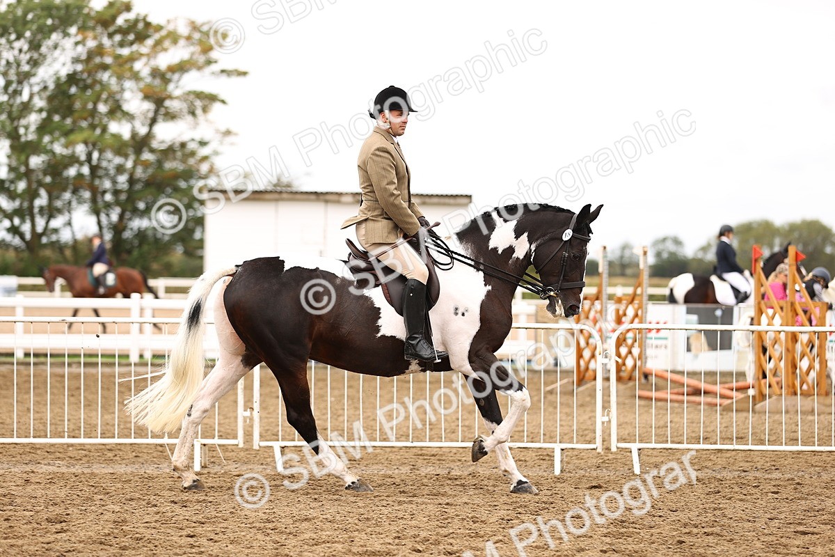 SBM_01398 - Class 54 - Riding Club Horse Pony