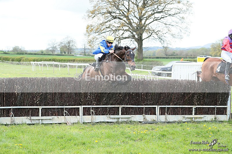 PtP 180426 121 - Worcestershire Hunt PtP Chaddesley Corbett 18/04/26