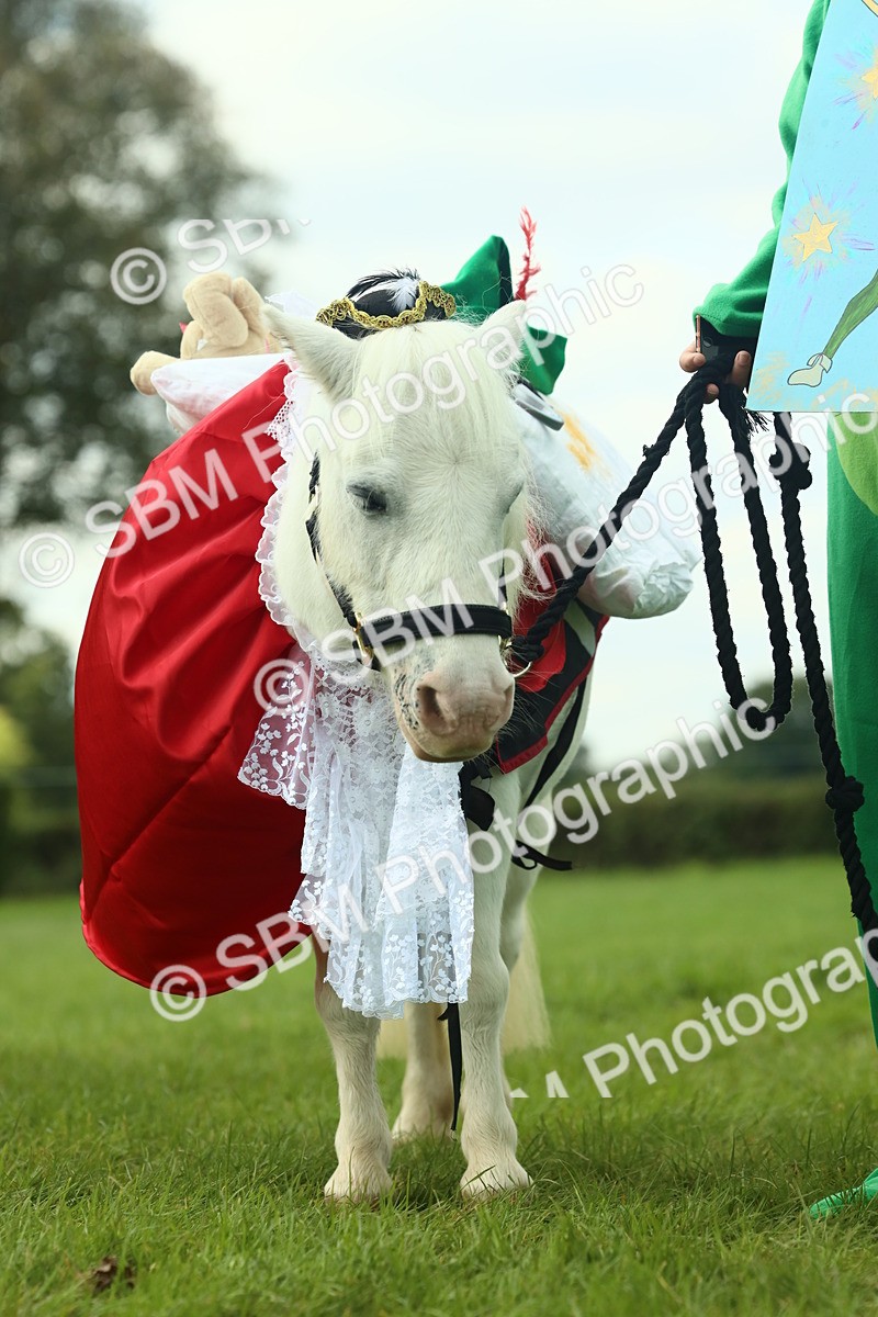 SBM_63610 - S35 - Fancy Dress Showing