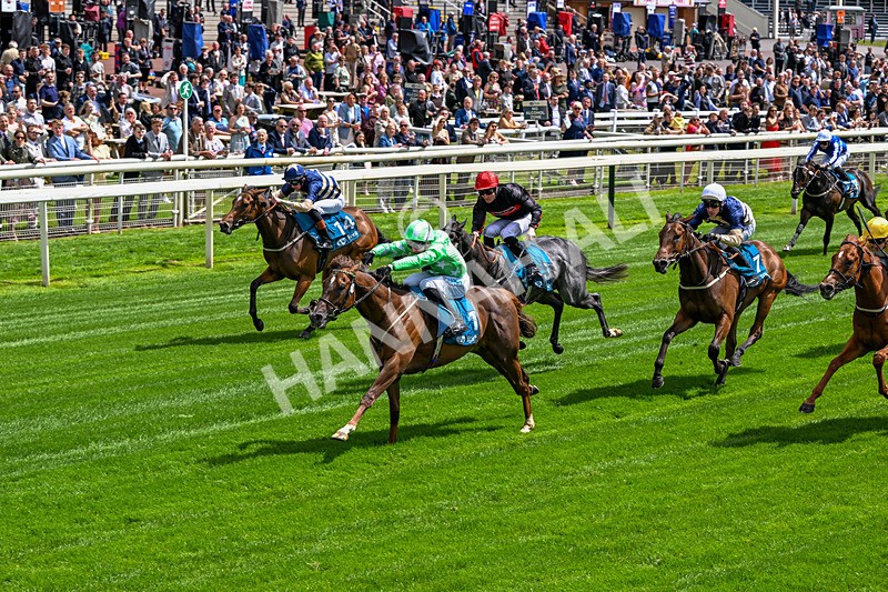 120626-Race 2-Everatease-6836 - Race 2 14.25pm Constant Security Keeping York Racegoers Safe Rous Selling Stakes