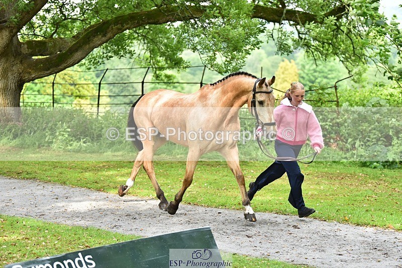 240522-155900-00618 - 109-MJM_BOBBY_DAZZLER-Rosie_Ringer