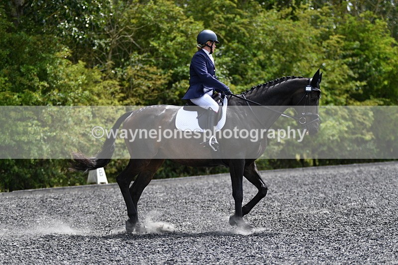 WJ5_1385 - Time 14:20 to 15:01