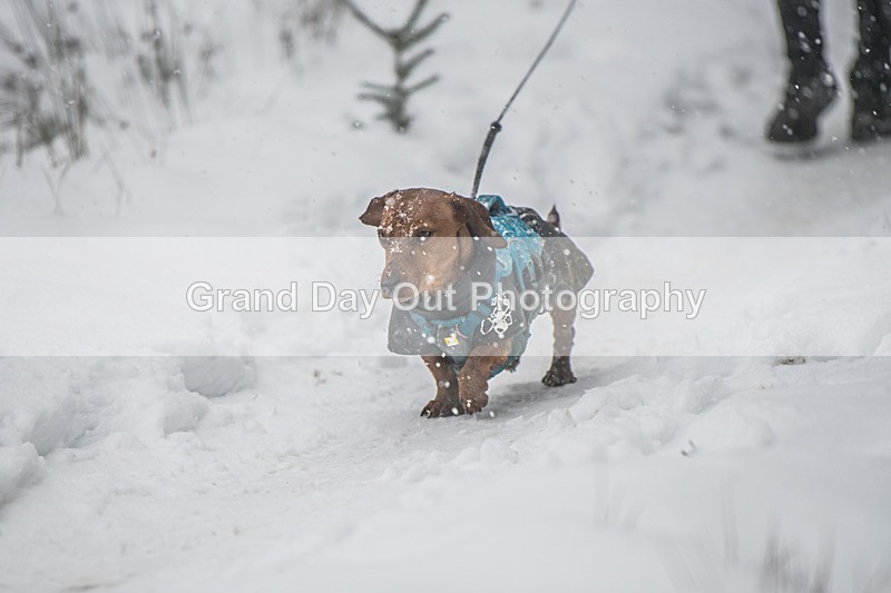 Glentress-2020 - High Terrain Events Glentress 42, 21 & 10K Trail Races Sunday 15th February 2026
