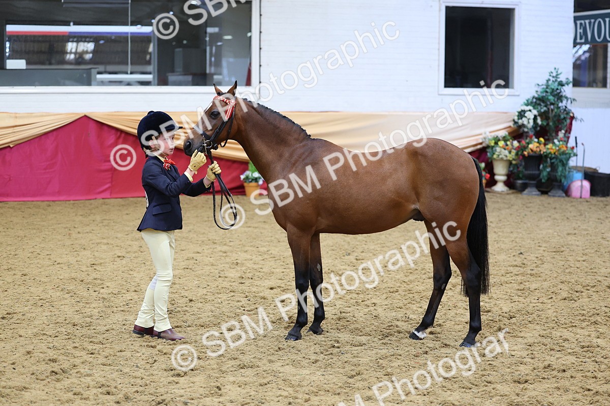 SBM_22709 - Class 903 - Supreme Final - IH Pre Vet